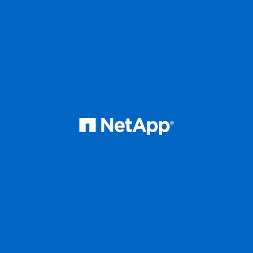 ITGLOBAL.COM recebeu o Prêmio NetApp de Resultados Financeiros ao longo do ano de 2019